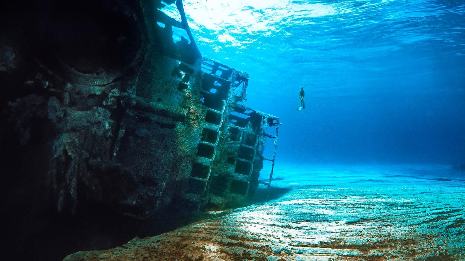 ΕΛΑΦΟΝΗΣΟΣ-Ismael Hakki-dive-hellas-nature-main